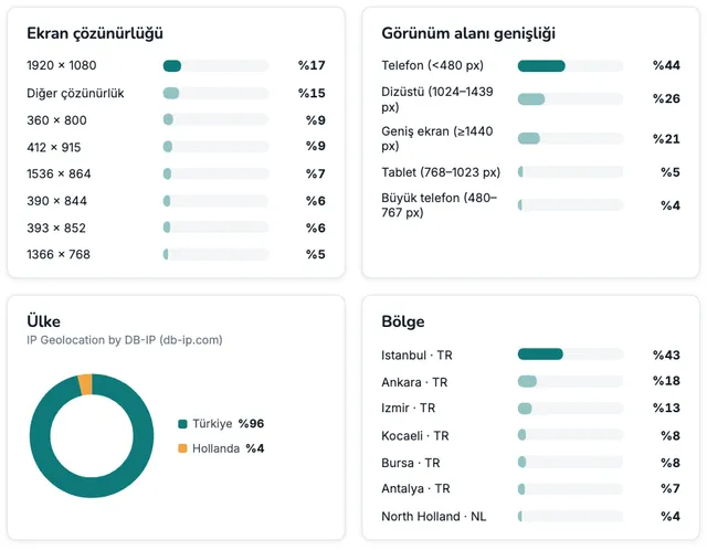 Report page: technical details — screen resolution, viewport, country and region distribution